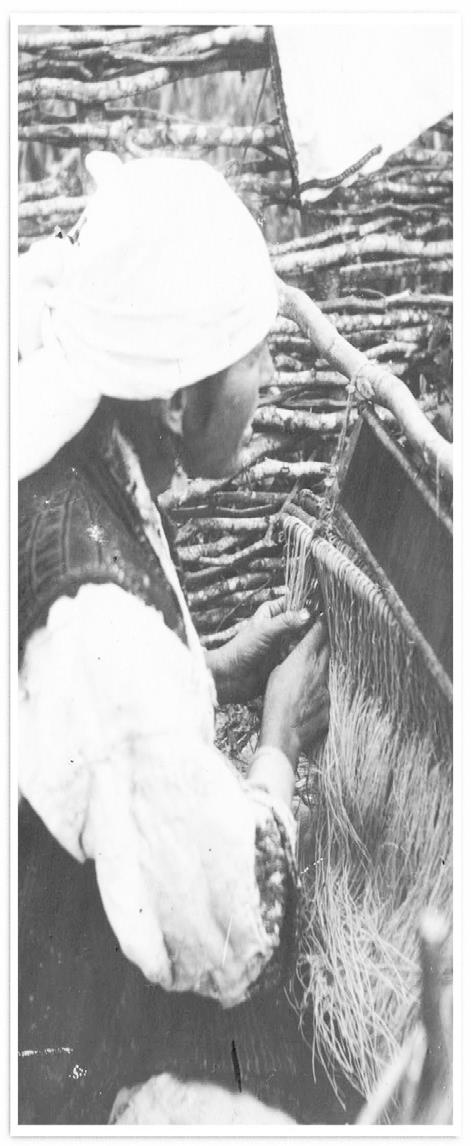 Page-1-Image-12