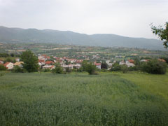 radisani