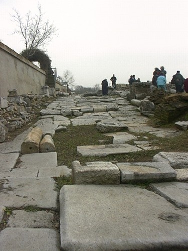 ViaIgnatia solun
