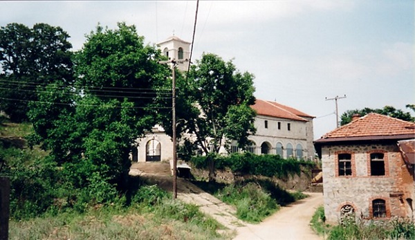 andrea-branov-2