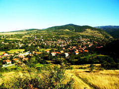selo-elestica