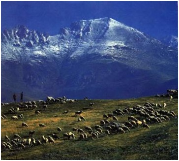 korab