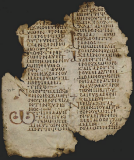 1sel11