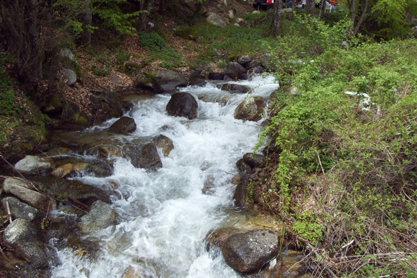beloviska-reka