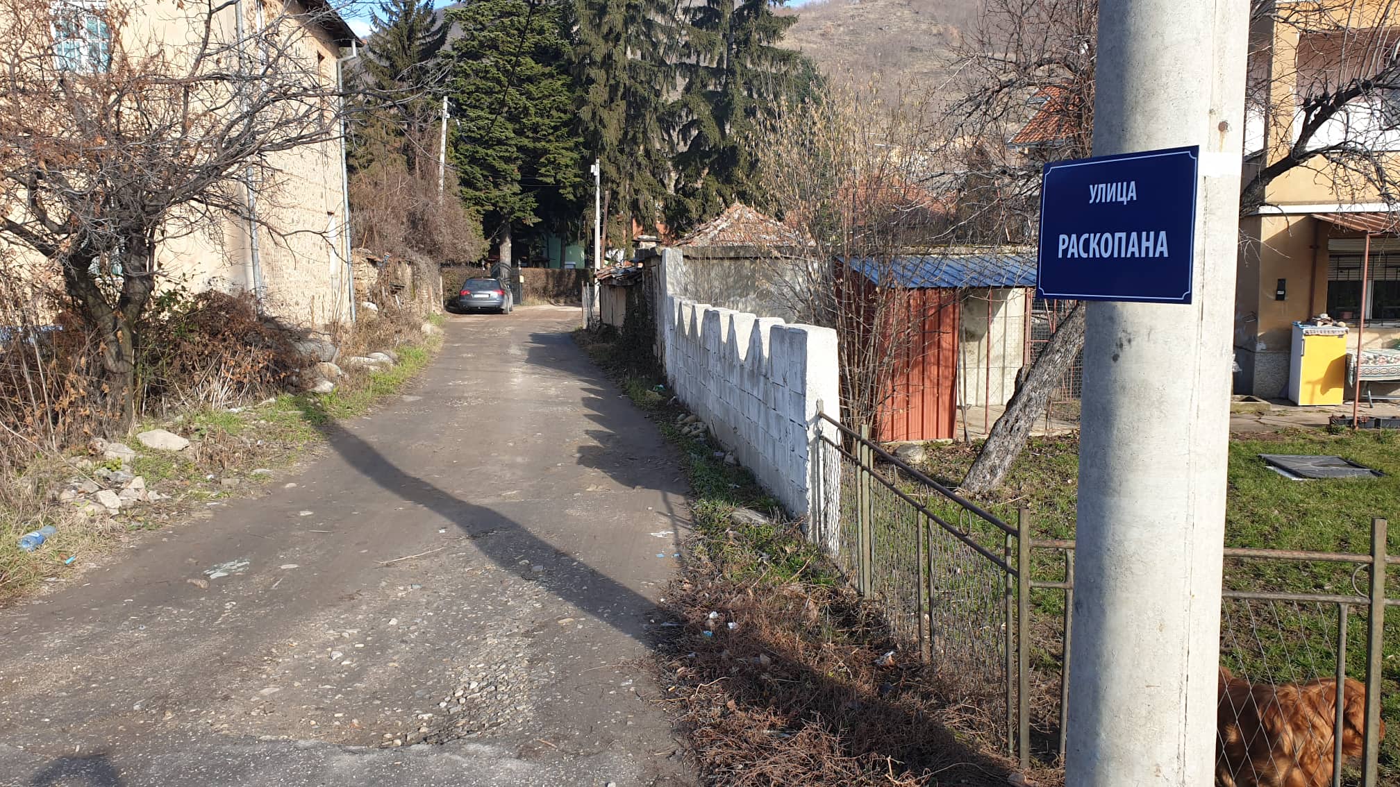 Bitola 8