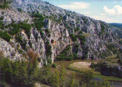 Bislim