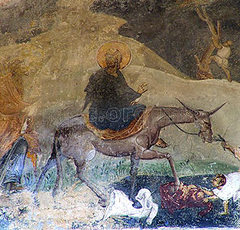 cvetnici_1304-1