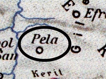 1pal6
