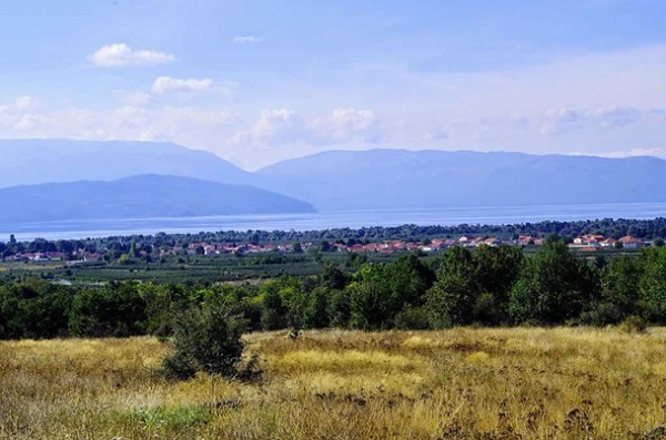 selo-nakolec