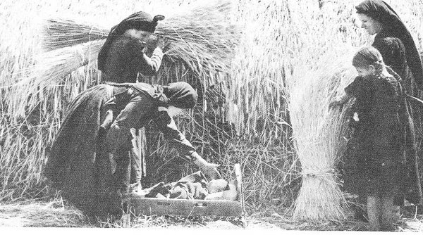 Page-1-Image-7