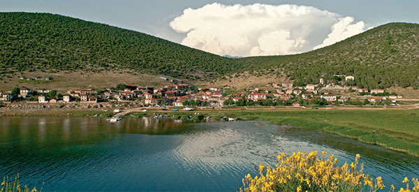 nivici