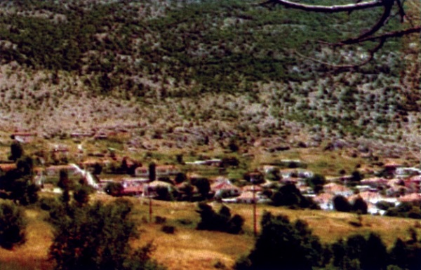 dmebeni2