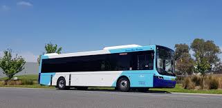 bus
