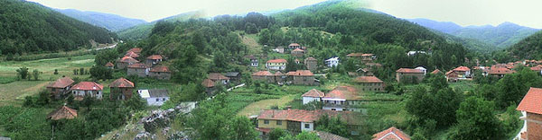 selo-belica