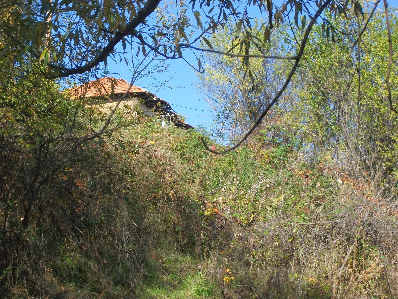 budevsko-maalo-8