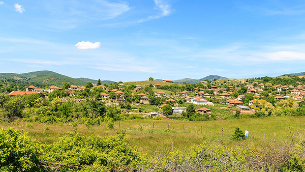 vitoliste