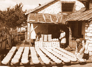 galicnik1948