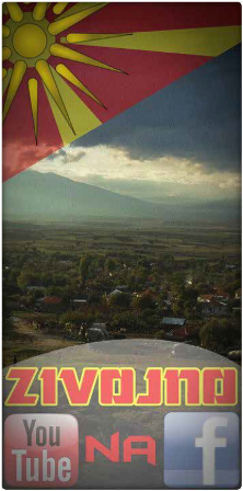 vilizi5
