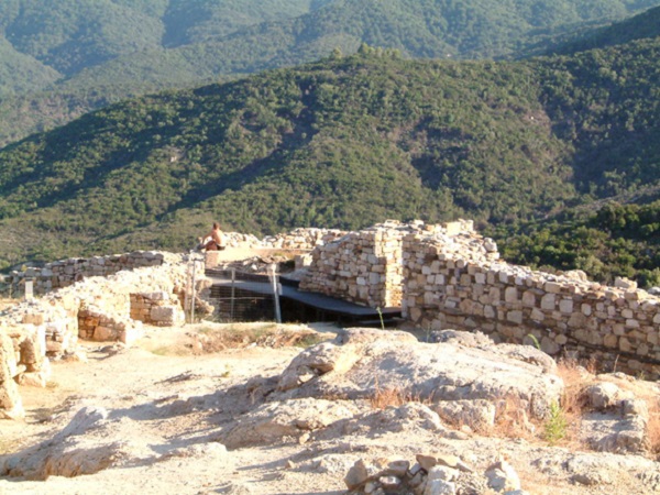 stagira