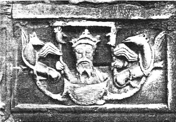 aleksandar5