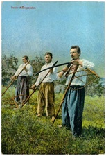 kosenje-na-livagjeto