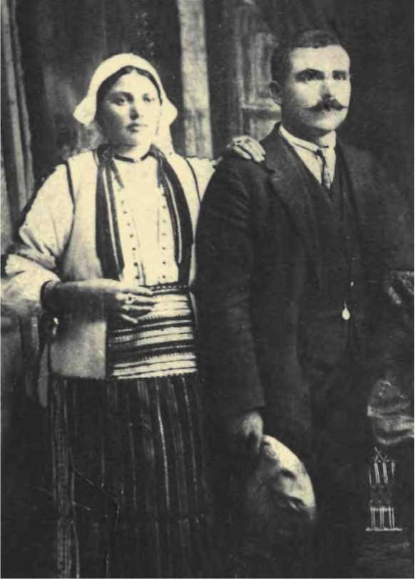 1svetle