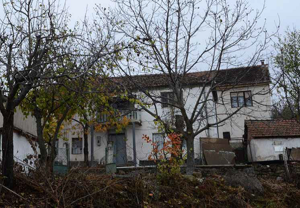 vidinov3