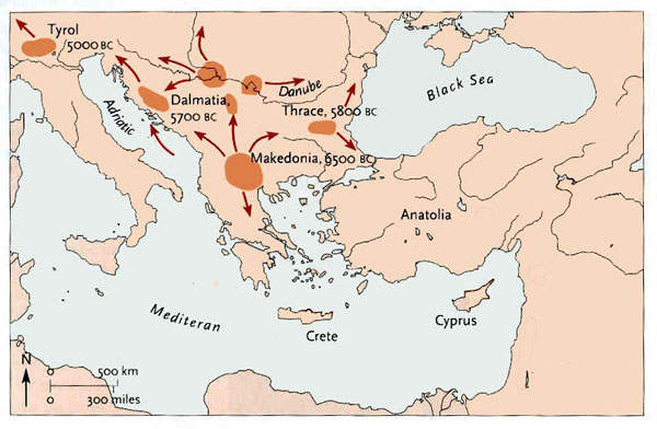 evropski-majcin-jazik-2