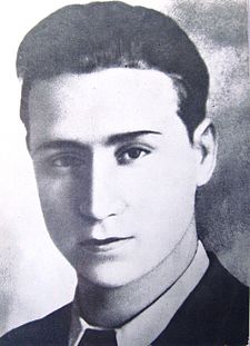 Stefan Naumov-Stiv