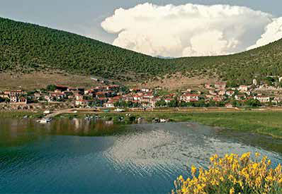 vidinov2