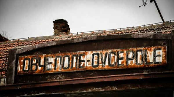 ovce-pole