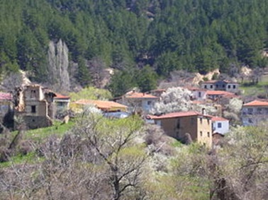 zelevo