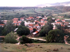 setina