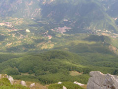 bituse