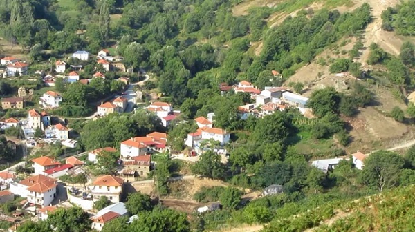 petar-bozanin-2