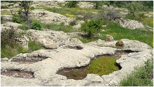 planina3