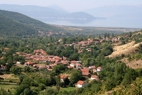 brajcino