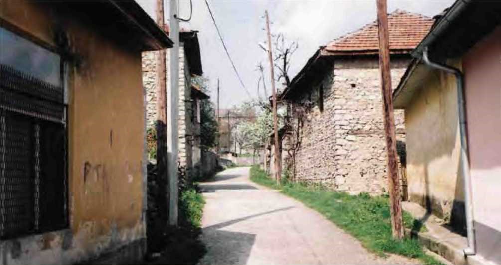 1zubovc1