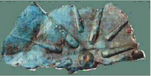makedonski-stit-3
