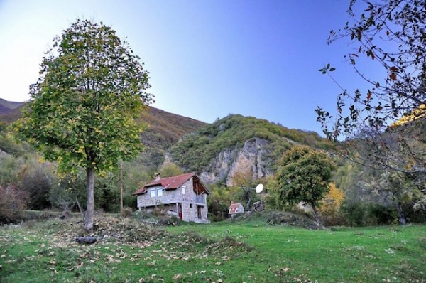 govedarica1