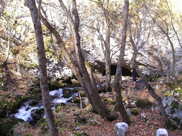 Alilica-Peshtera-Tresonche