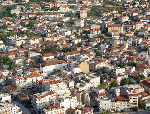 nigrita
