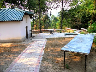 pozarane18