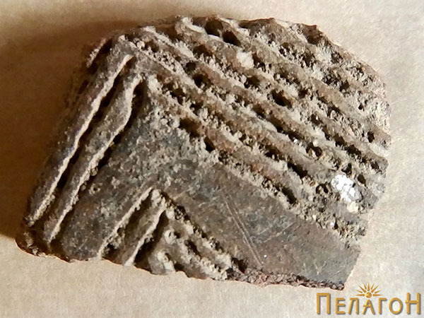 101-20-Fragment-od-keramichki-sad---Palatica