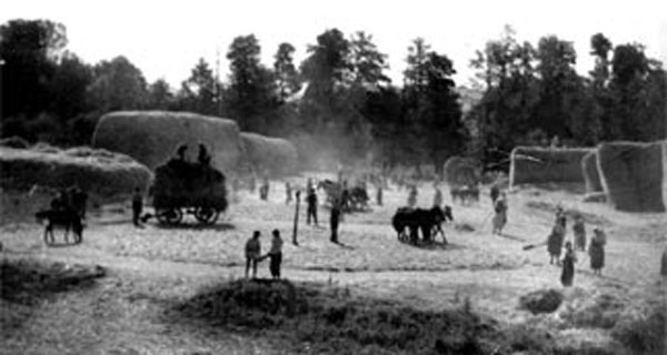 udba-18