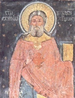 stnicodim2