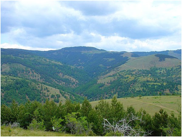 planina2
