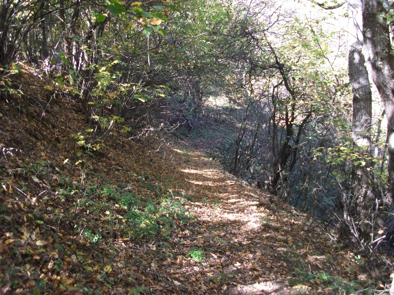 budevsko-maalo-2