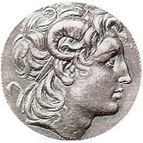 am35-1