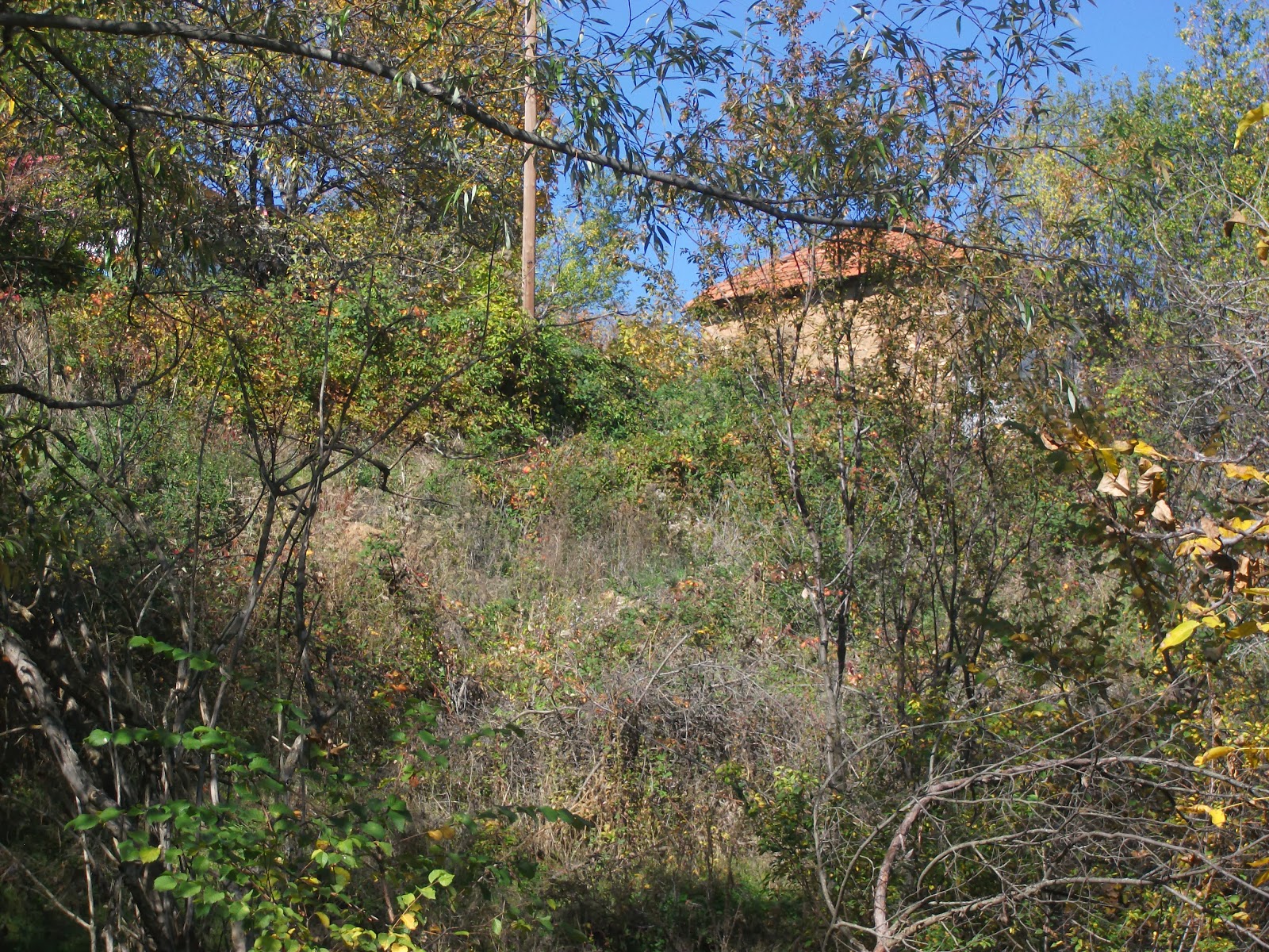 budevsko-maalo-7